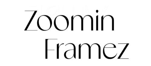 zoominframez.com